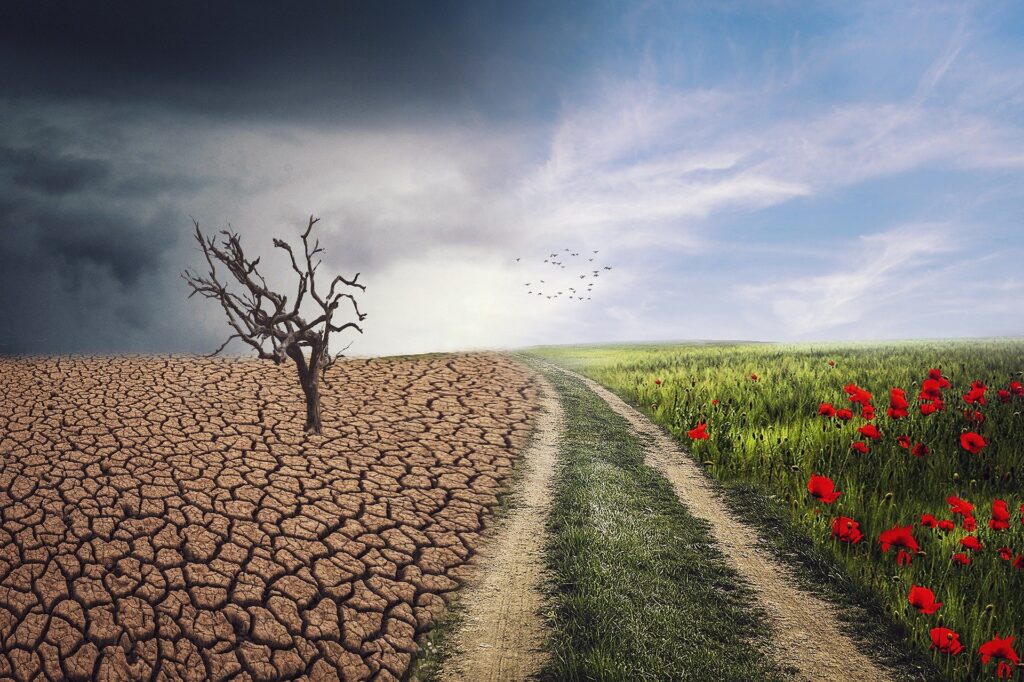 Featured image for “Do You Focus on Short Term Comfort, and Override Long Term Gain?”